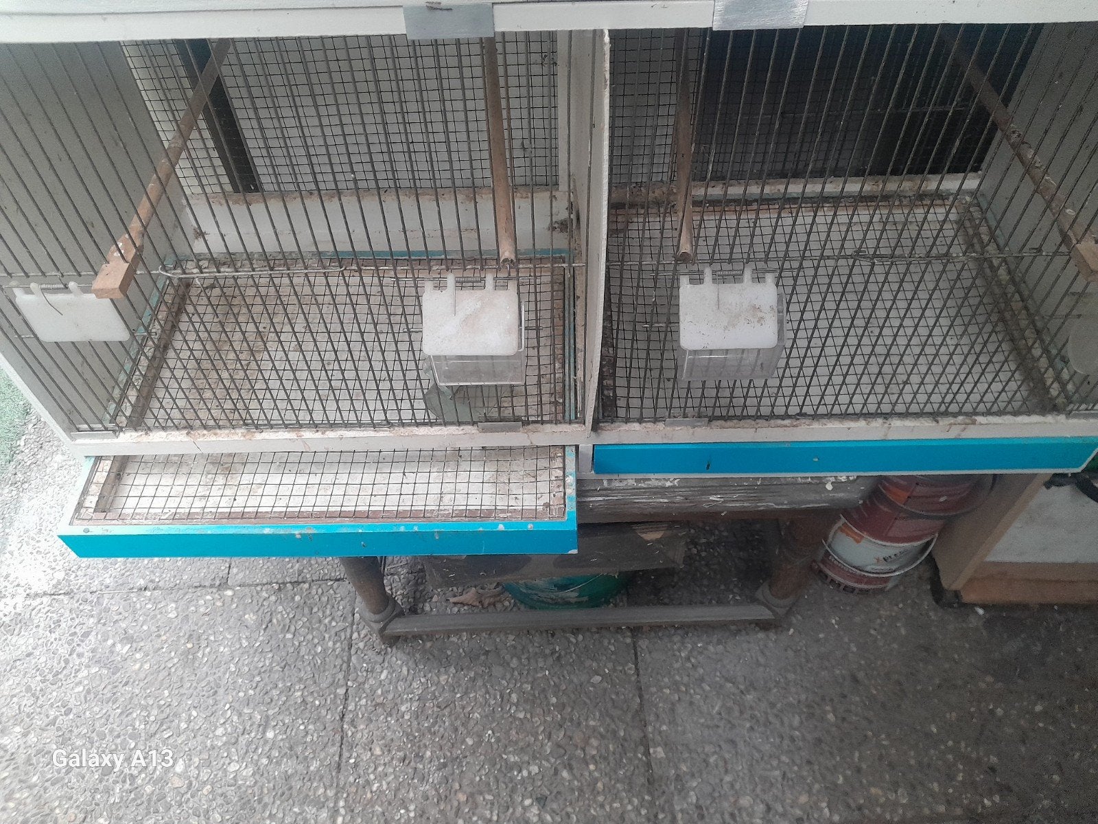 te koop2 mooie kooienr, Dieren en Toebehoren, Ophalen of Verzenden, Broedkooi of Kweekkooi
