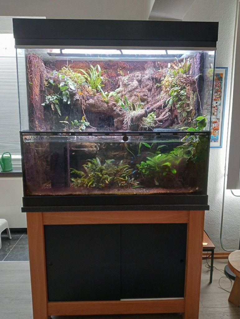 paludarium, Ophalen, Zo goed als nieuw, Terrarium of Paludarium
