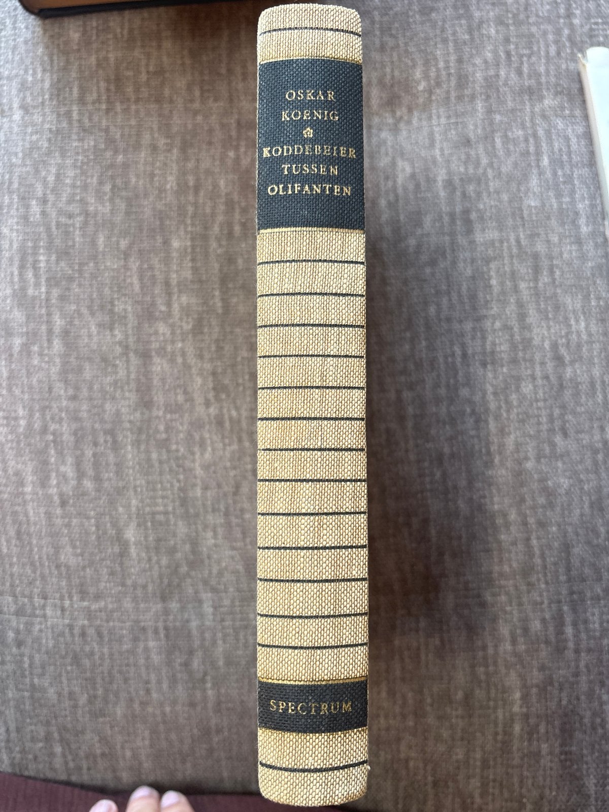KODDEBEIER TUSSEN OLIFANTEN - Oskar Koenig, Boeken, Ophalen of Verzenden, Gelezen, Europa overig