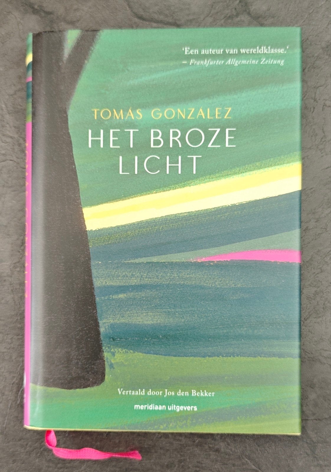 Tomas Gonzalez - Het broze licht, Ophalen of Verzenden, Zo goed als nieuw, Tomas Gonzalez
