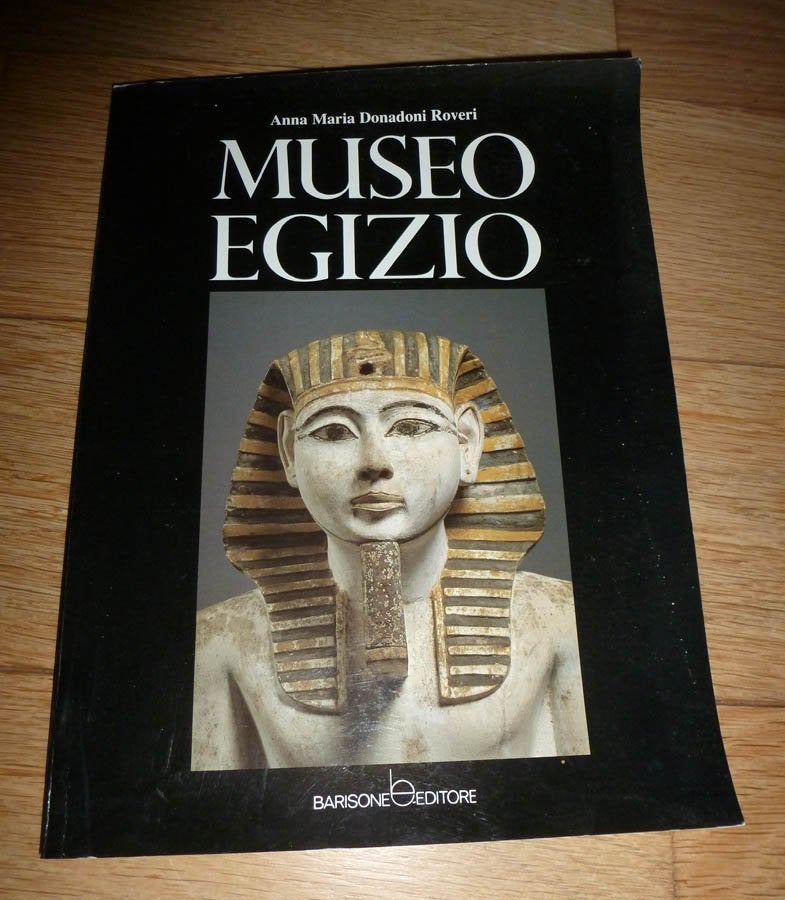 Boek ANNA MARIA DONADONI ROVERI - Museo Egizio, Ophalen of Verzenden, Gelezen