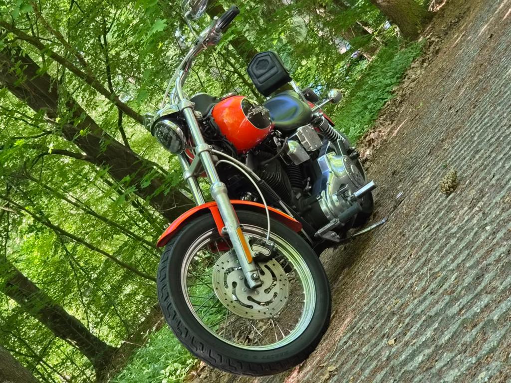 Harley davidson fxdl mooie oranje dyna low rider, Particulier, Chopper