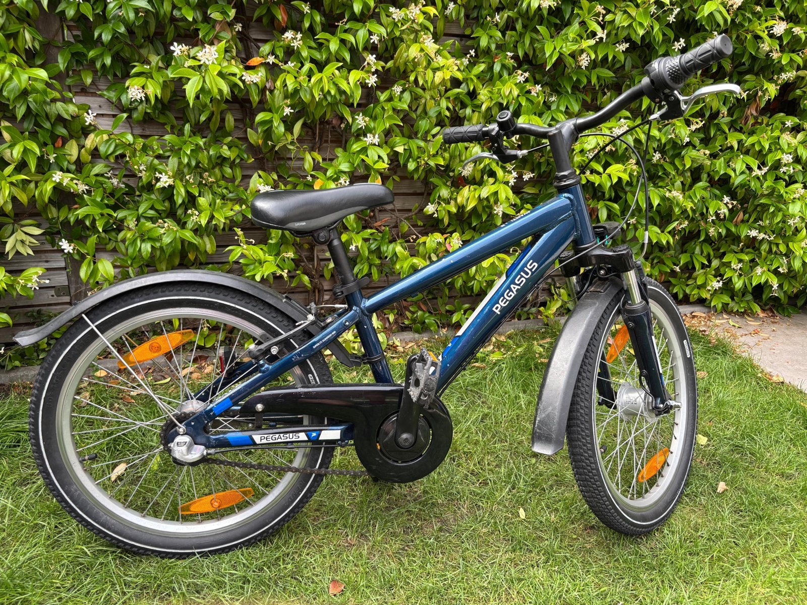 Pegasus Avanti Kids (20 inch), Ophalen, Zo goed als nieuw, 20 inch, Versnellingen