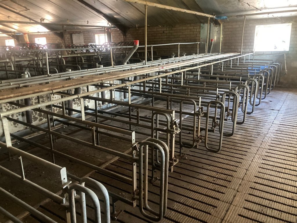 Ligboxen voor zeugen, Dieren en Toebehoren, Stalling