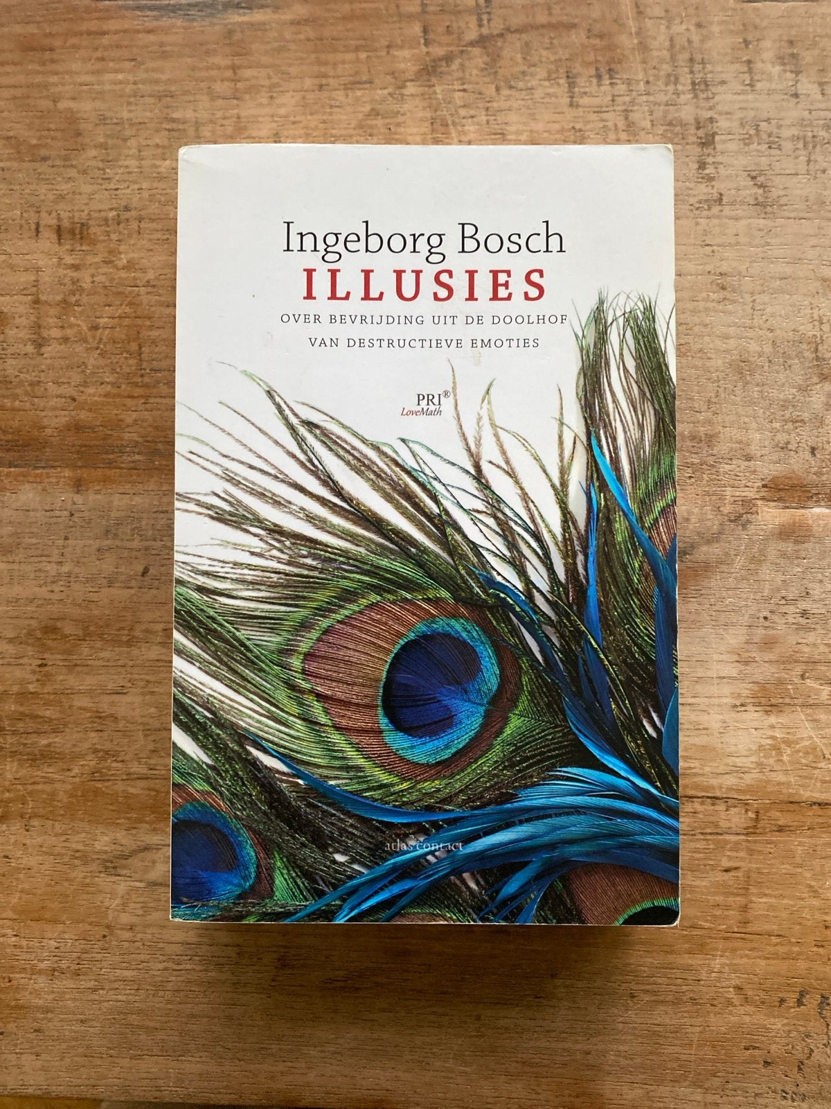 Ingeborg Bosch - Illusies, Ophalen of Verzenden, Zo goed als nieuw, Ingeborg Bosch