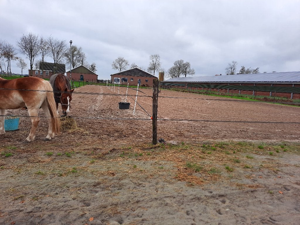 Pensionstal vrij, Dieren en Toebehoren, Stalling en Weidegang, Weidegang, 1 paard of pony