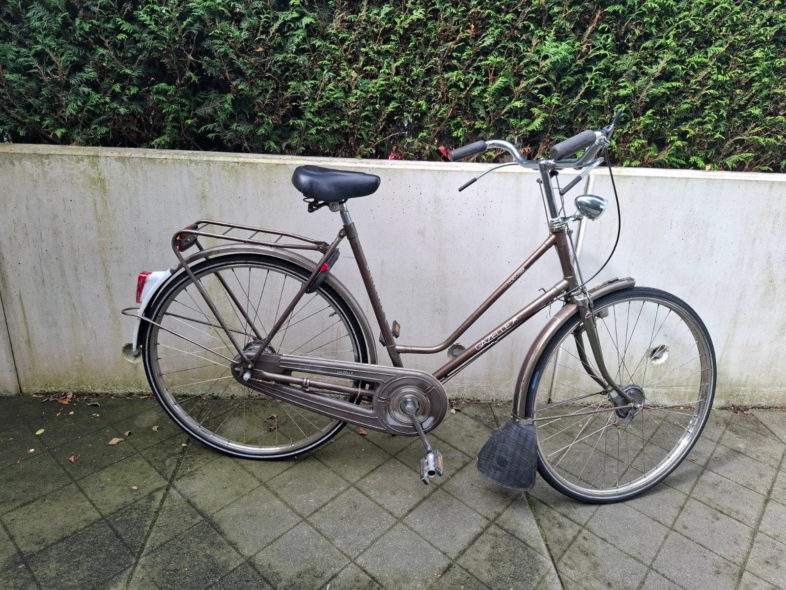 Gazelle Speciaal Damesfiets - 3 Versnellingen, Ophalen, Versnellingen, Gazelle, Trommelrem