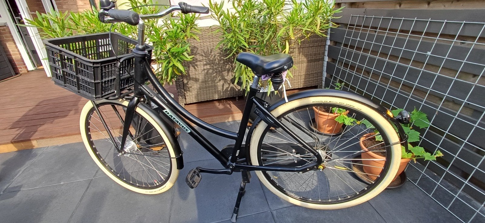 Batavus Damesfiets met voordrager en Nexus versnelingen, Ophalen, Gebruikt