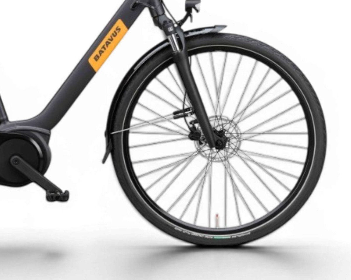 Foto 3 van Batavus Altura E-Go, 400 Wh Dames Adviesprijs: € 2399