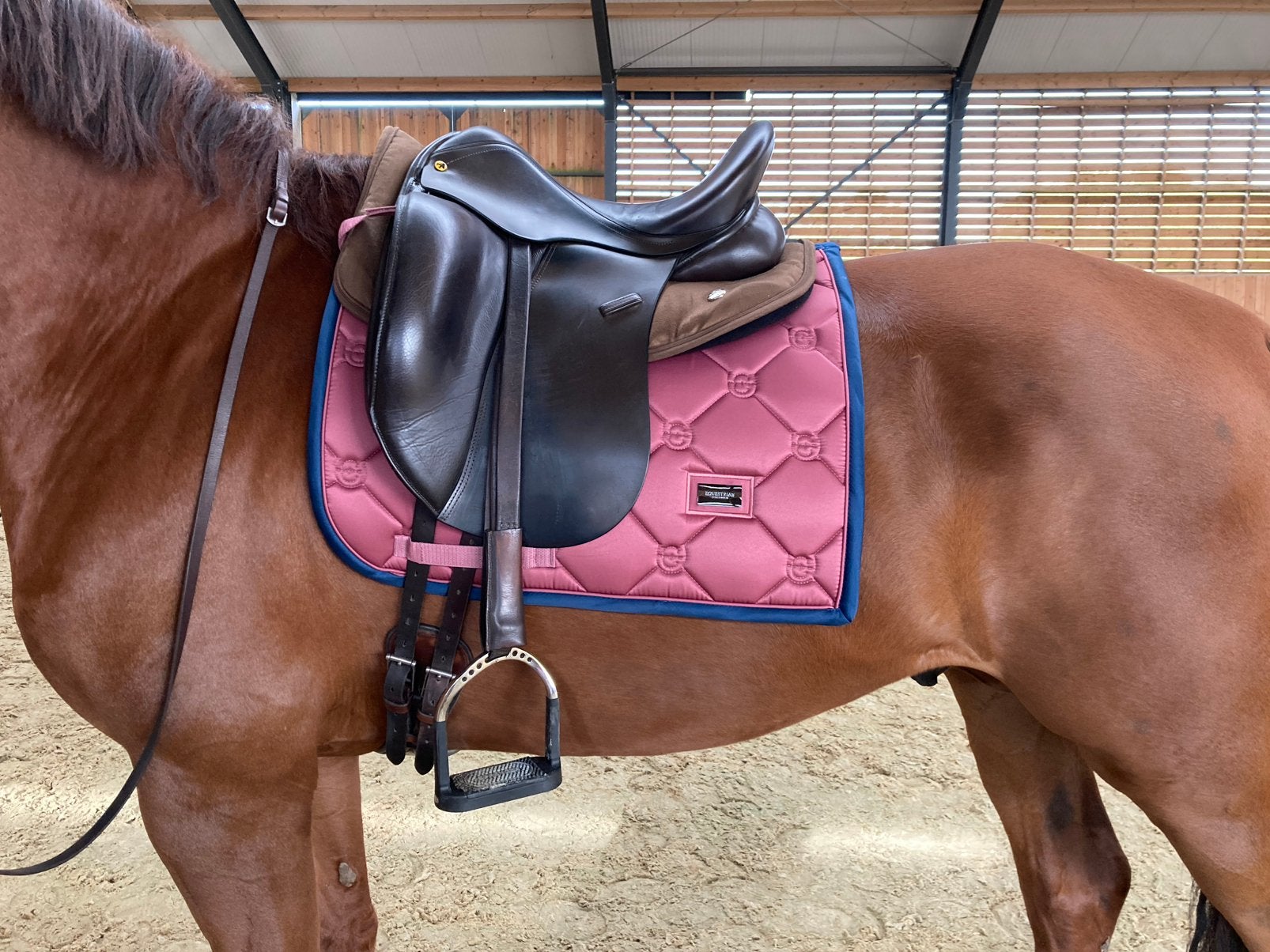 Equestrian Stockholm Timeless rose, Full (L), Gebruikt, Dressuurdekje, Equestrian Stockholm