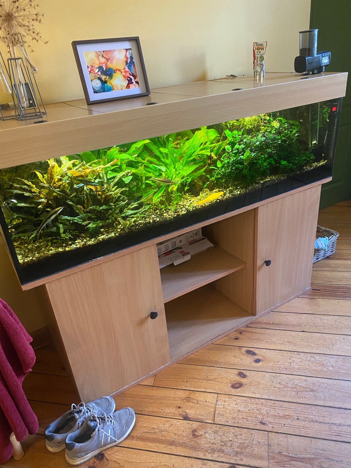 Compleet aquarium 150x50x40, Ophalen, Zo goed als nieuw, Gevuld zoetwateraquarium