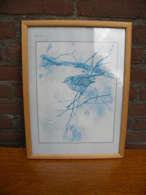 Prent van koolmees in blauw tinten in houten lijst, Ophalen of Verzenden, 'T Olde Gre-j, Info@toldegrej.nl, Endepoelstraat 20f Didam