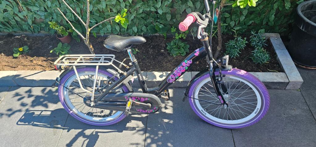Alpina Girl Power 20 inch meisjesfiets, Ophalen, 20 inch of meer, Gebruikt, Velgrem