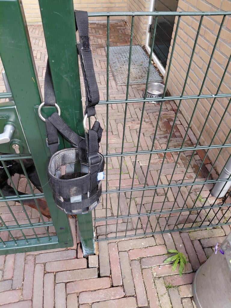 Graas masker (shet), Dieren en Toebehoren, Paarden en Pony's | Overige Paardenspullen, Ophalen
