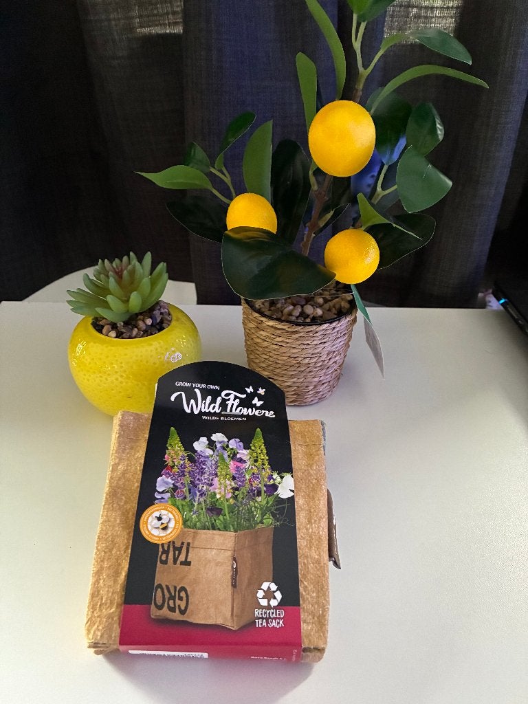 Diverse plantjes, Overige soorten, In pot, Minder dan 100 cm, Halfschaduw