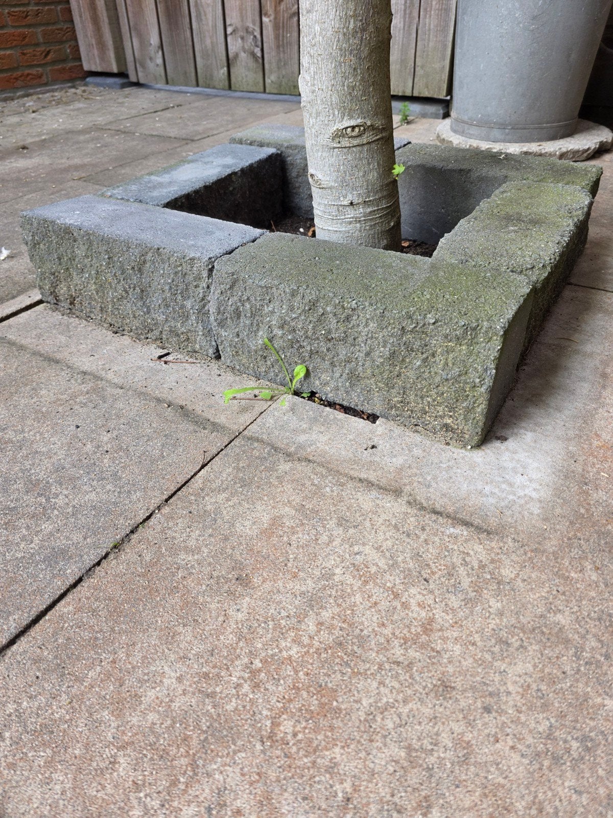 Betonnen borderranden voor boom of plantenbak, Tuin en Terras, Ophalen, Gebruikt, Minder dan 25 cm, Border