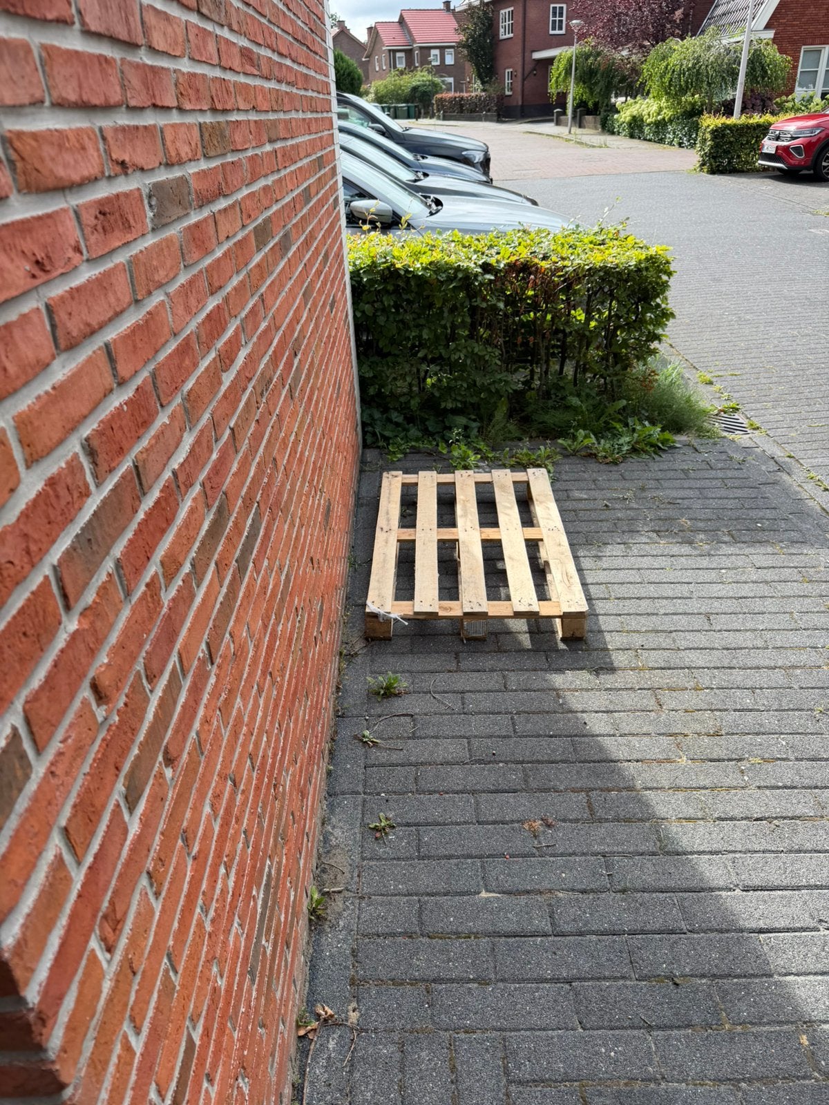Europallet. Gratis af te halen., Ophalen, Zo goed als nieuw, 50 mm of meer, Pallet