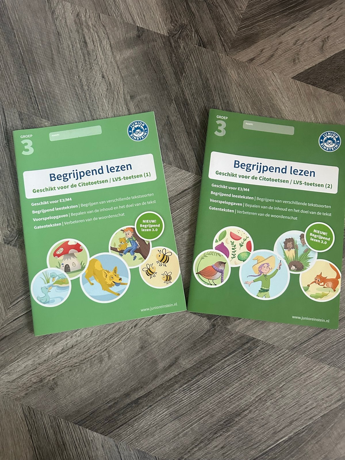 Begrijpend Lezen Junior Einstein Groep 3 (deel 1 en 2), Boeken, Ophalen of Verzenden, Zo goed als nieuw, Overige niveaus, Nederlands
