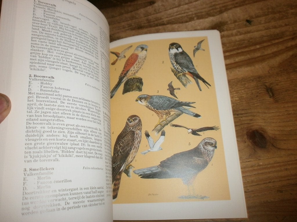 gids voor de vogels van texel veel mooie afbeeldingen, Boeken, Ophalen of Verzenden, Gelezen