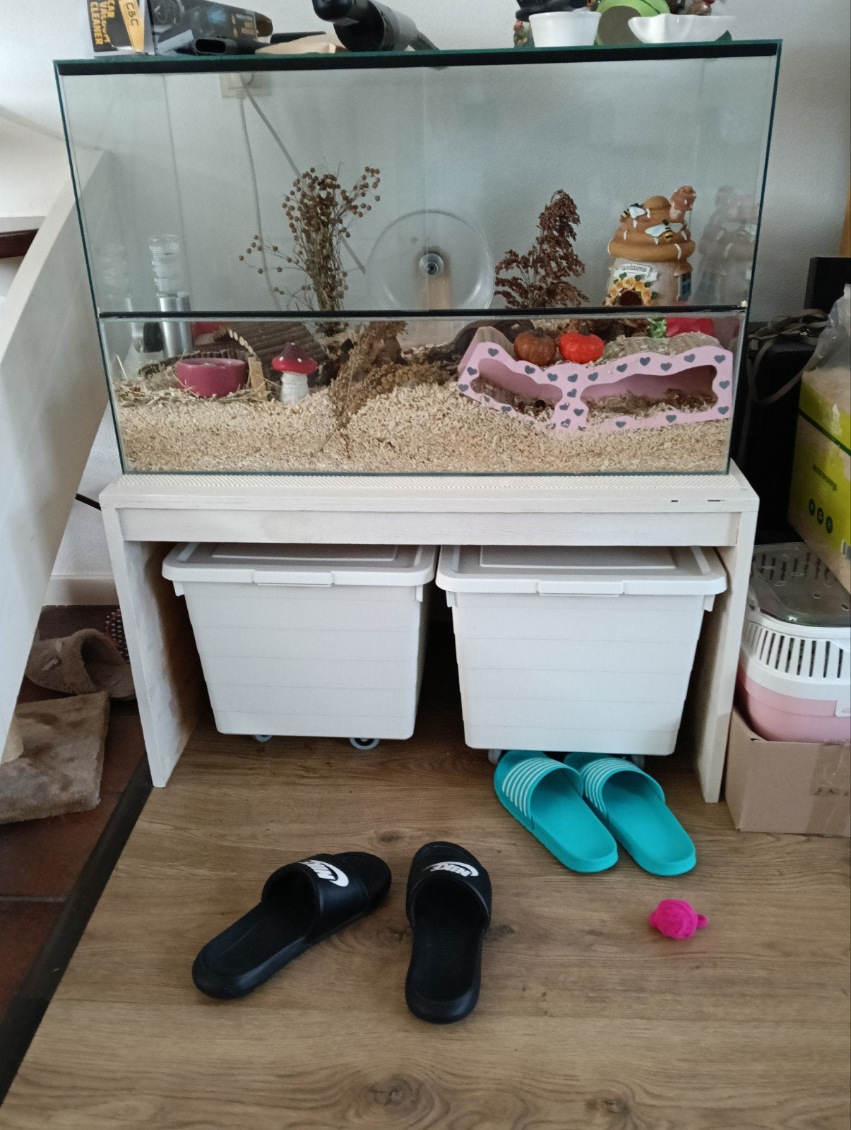 Terrarium glazen kast, Dieren en Toebehoren, Knaagdieren en Konijnen | Hokken en Kooien, 75 tot 110 cm, Ophalen, Minder dan 60 cm