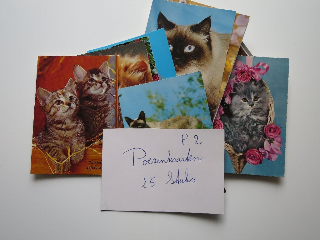 Poezen/Katten kaarten (Partij 2) Set van 25 stuks, Verzamelen, Ophalen, 1980 tot heden, Gelopen, Hond of Kat