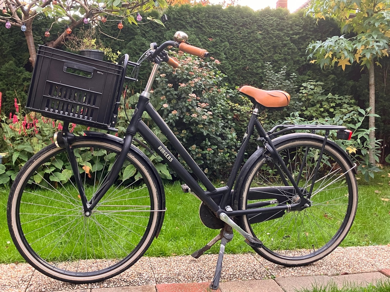 Damesfiets met voordrager en krat, Terugtraprem, Versnellingen, Ophalen, Overige merken