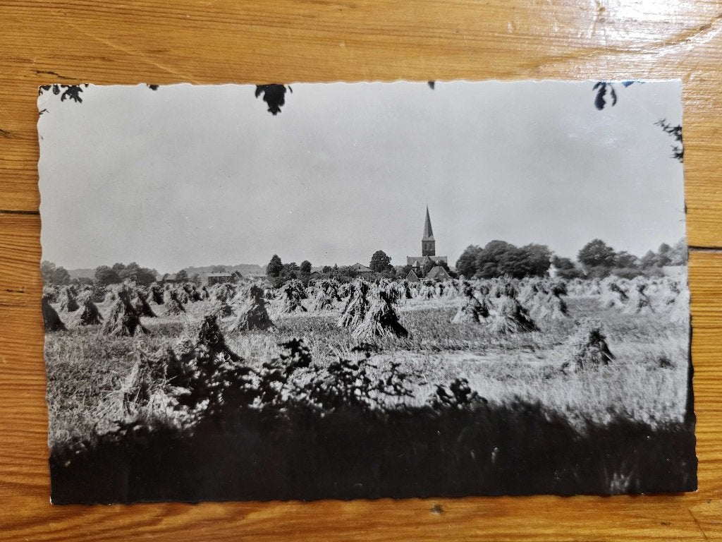 ansicht Beek op Didam Panorama Stro Hooi, Ophalen of Verzenden, Voor 1920, Gelderland