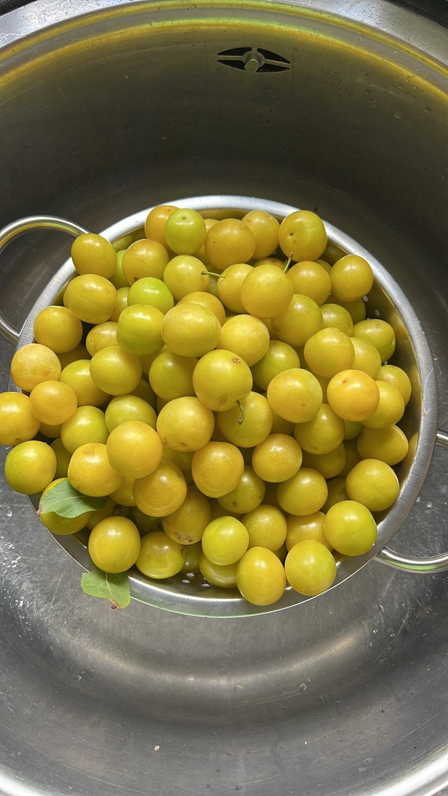 500G biologische Mirabellen (kleine pruimen), Ophalen of Verzenden, Zo goed als nieuw