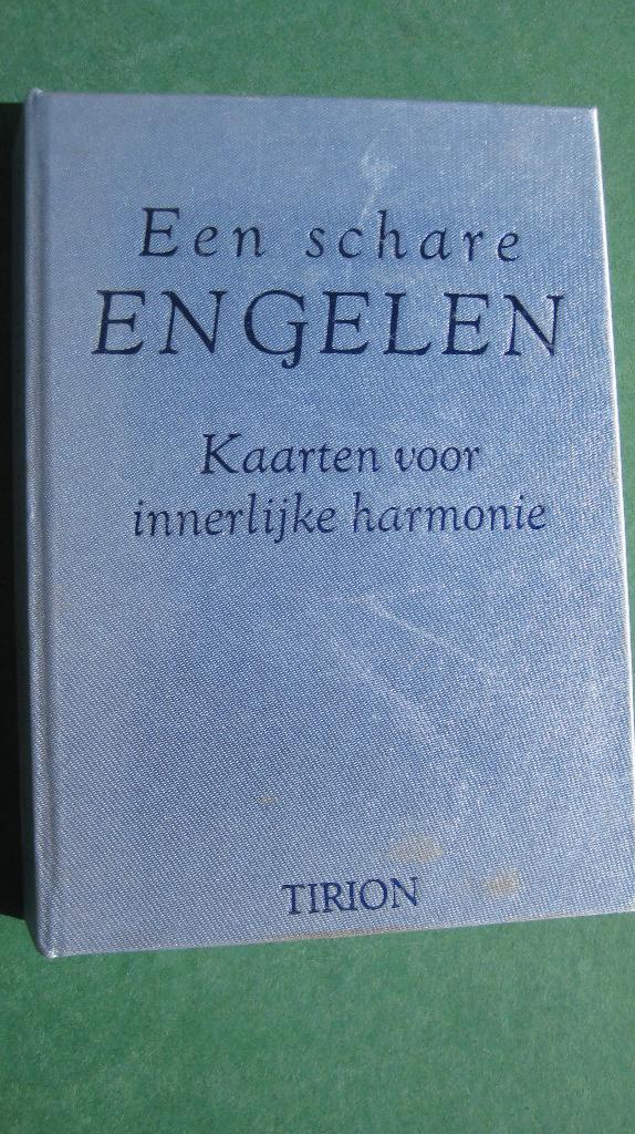 Angela Macgerr – Een schare engelen, Tarot of Kaarten leggen, Overige typen, Ophalen of Verzenden, Zo goed als nieuw