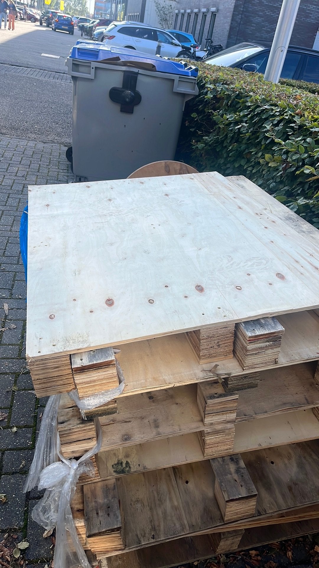 Pallets met houten plaat GRATIS, Ophalen, Overige houtsoorten, Minder dan 200 cm, Pallet