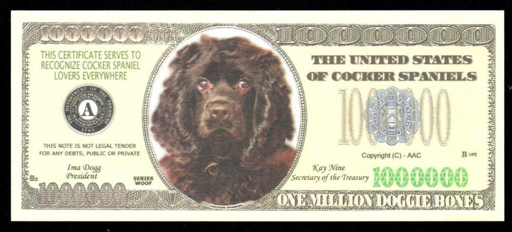 Curiosa Biljet USA - HONDEN - COCKER SPANIELS., Ophalen of Verzenden, Noord-Amerika, Los biljet