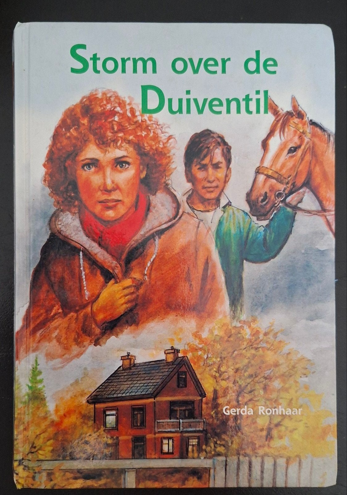 Storm over de Duiventil. Gerda Ronhaar, Ophalen of Verzenden, Gelezen