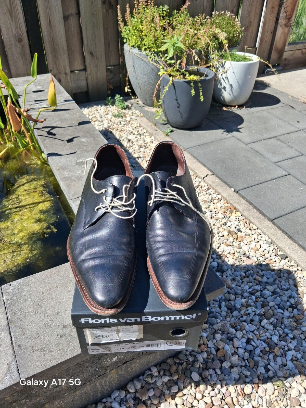 Floris van Bommel herenschoenen, zwart kalfsleer, maat 46, Kleding | Heren, Schoenen, Zwart, Floris van Bommel, Nieuw, Ophalen of Verzenden