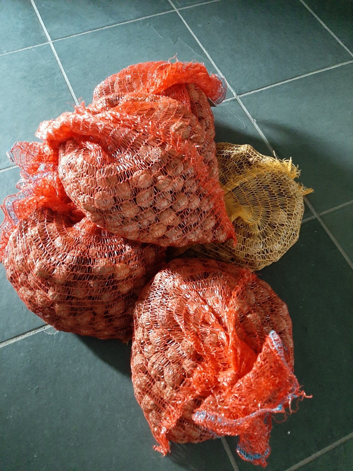 walnoten oogst 2025 per 3,5 kg, Diversen, Levensmiddelen, Ophalen
