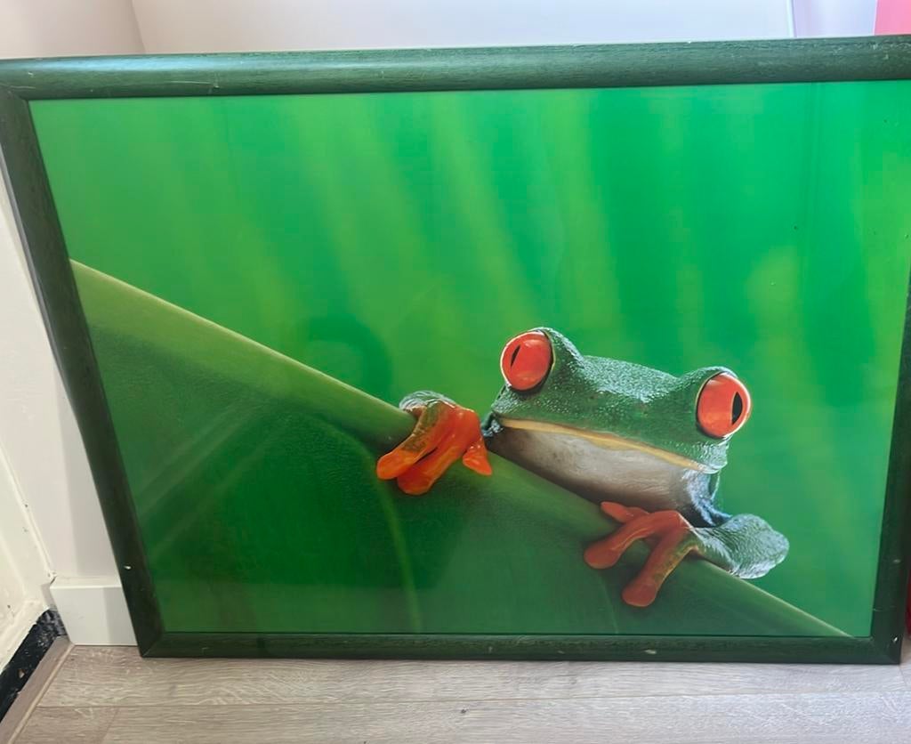 Groene kikker in lijst, Ophalen