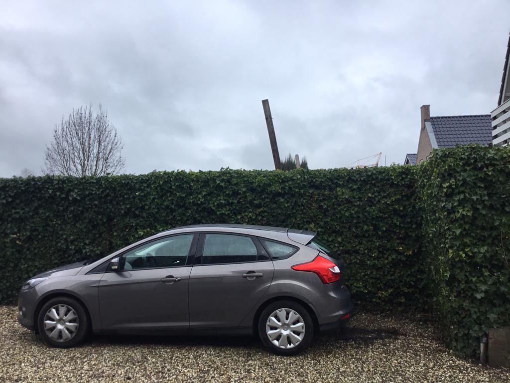 Ford focus 1,6 te koop aangeboden, Voorwielaandrijving, Stof, Overige modellen, Handgeschakeld