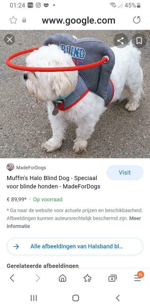 stootband voor blind of slechtziend hondje, Ophalen of Verzenden, Nieuw
