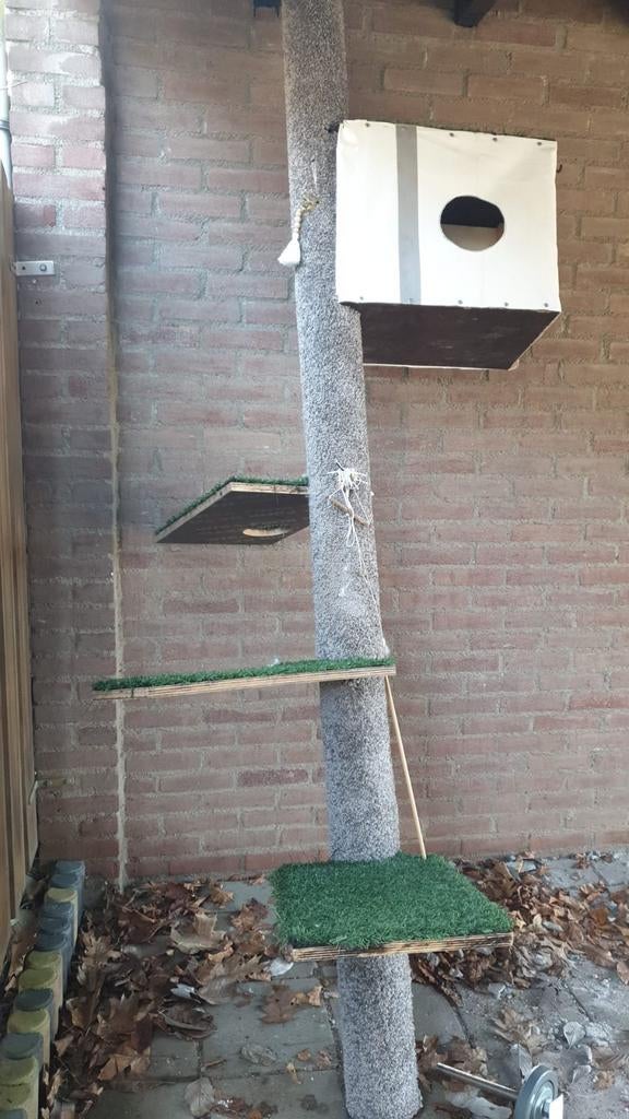 Kattenkrabpaal plafondhoogte, Dieren en Toebehoren, Krabmeubelen, Zo goed als nieuw, Krabpaal, Ophalen