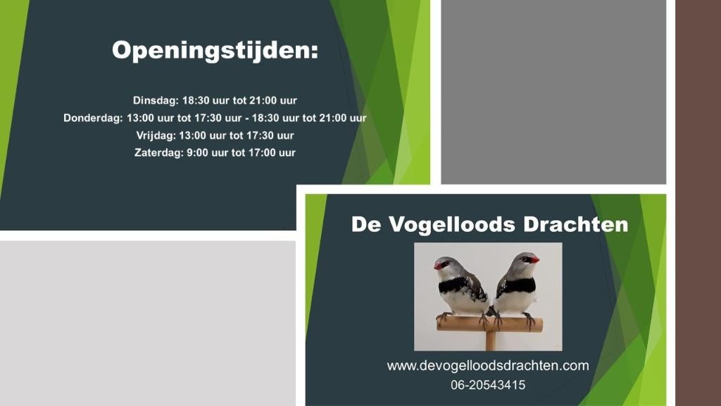 Vogels Gezocht