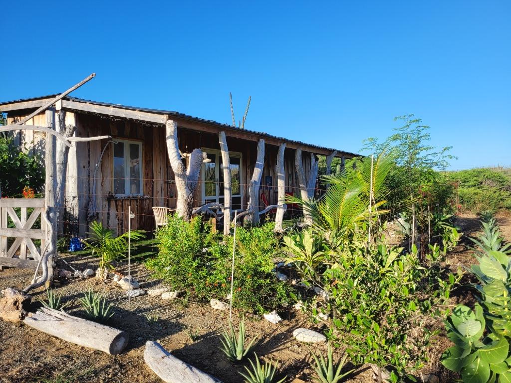 Aruba vakantiewoning, Vakantie, Vakantiehuizen | Nederlandse Antillen, Wasmachine, Aruba, Appartement, Landelijk