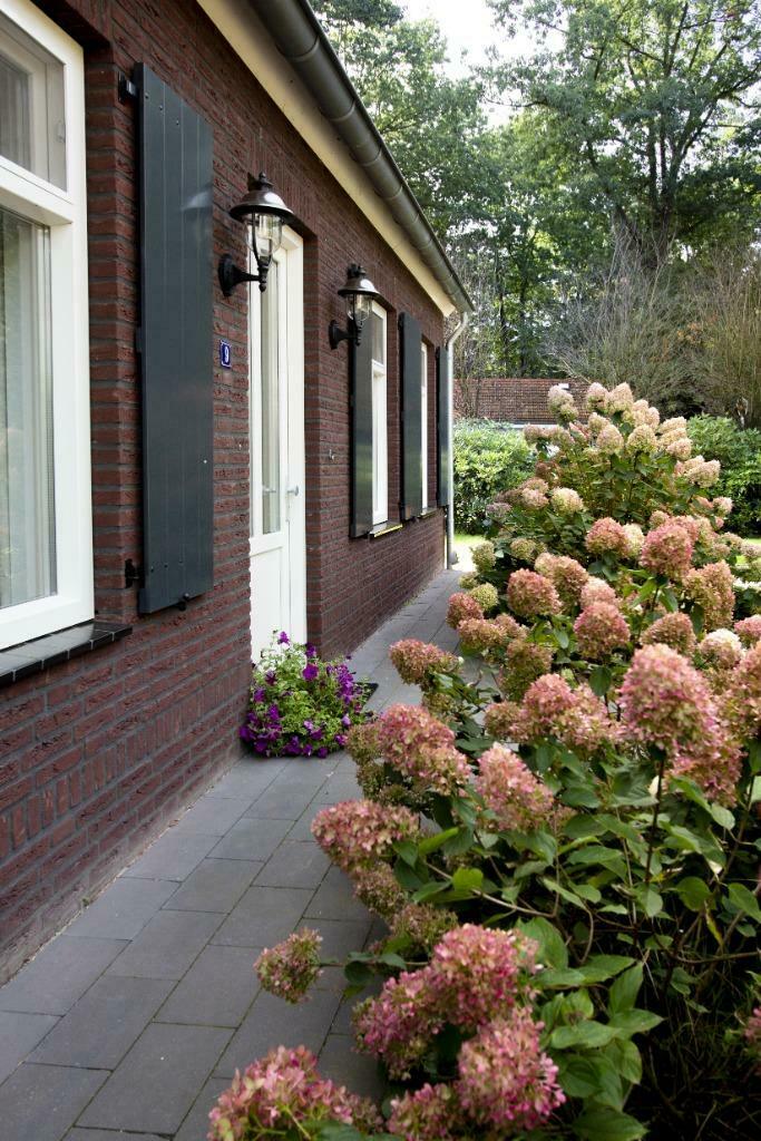 Vrijstaand vakantiehuis bos Swolgen het Rieselke, In bos, Dorp, Limburg, Afwasmachine