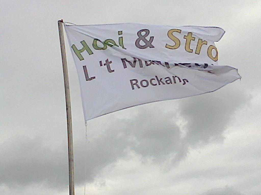 Stalstrooisels