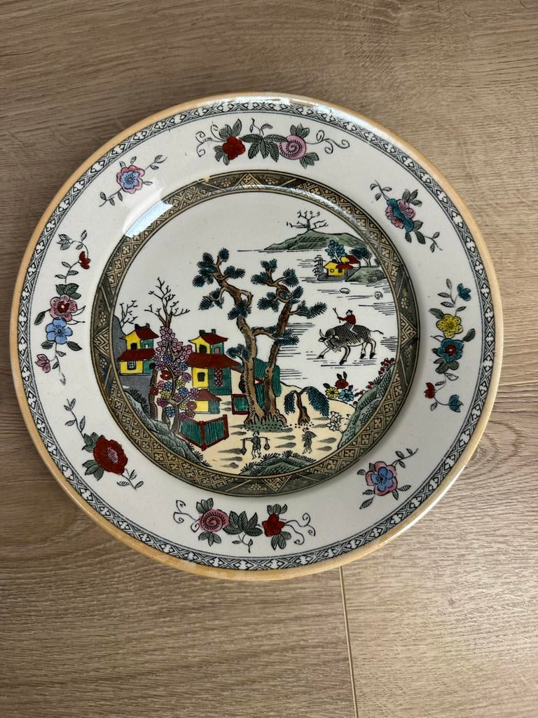 Petrus Regout bord – handgeschilderd decor, Ophalen of Verzenden