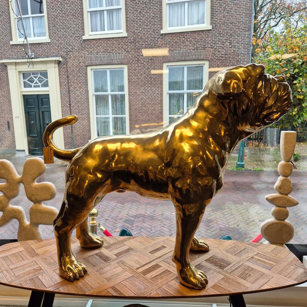 Bulldog messing beeld groot 71x34x85 cm XXL, Ophalen of Verzenden