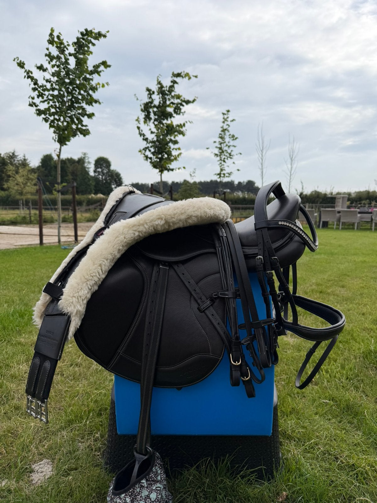 Zgan IKONIC springset compleet, Dieren en Toebehoren, Paarden en Pony's | Zadels, Ophalen of Verzenden, Zo goed als nieuw, Springen