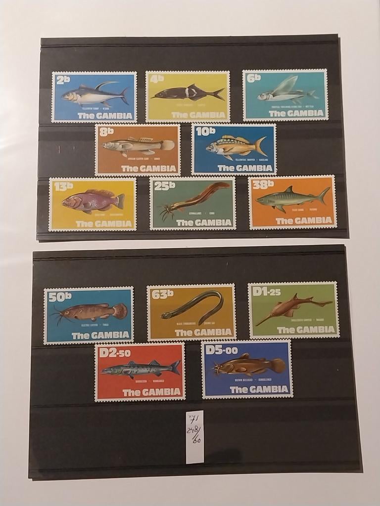 Gambia 248-260 vissen 1972 postfris mi 25 eu, Ophalen of Verzenden