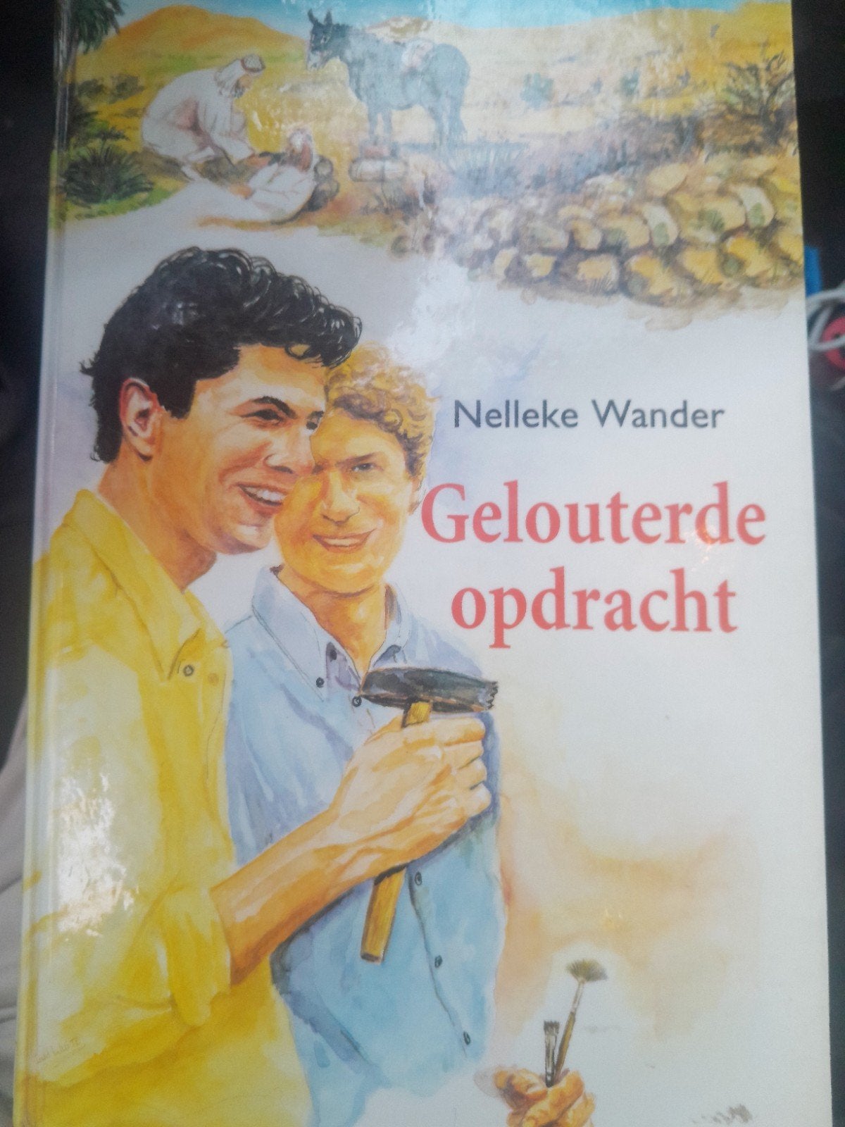 N. Wander - 2, Ophalen of Verzenden, Zo goed als nieuw, N. Wander, Noord-Brabant