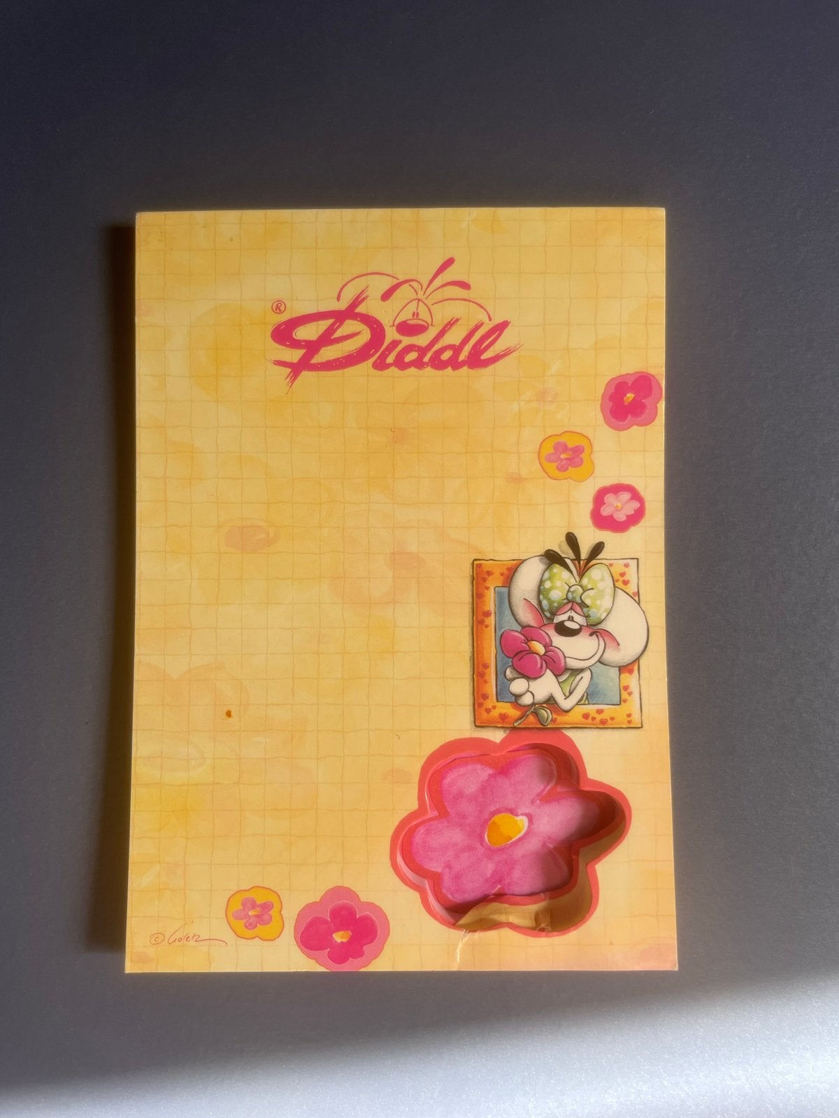 Diddl dubbel blok - klein blokje ontbreekt, Verzamelen, Diddl, Ophalen of Verzenden, Diddlina, Gebruikt, Papier, Kaart of Schrift