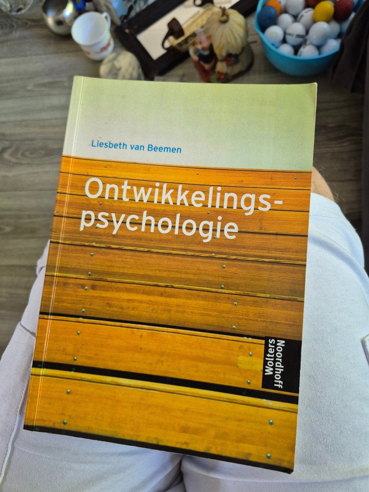 Ontwikkelingspsychologie - Liesbeth van Beemen, Zo goed als nieuw, Liesbeth van Beemen, Gamma, HBO