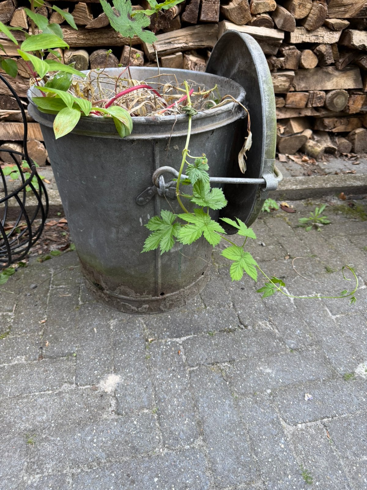 Oude vuilnisbak, Tuin en Terras, Ophalen, Minder dan 30 cm, Rond, Zo goed als nieuw